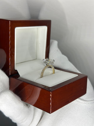 Lanie 2 Tone Engagement Ring